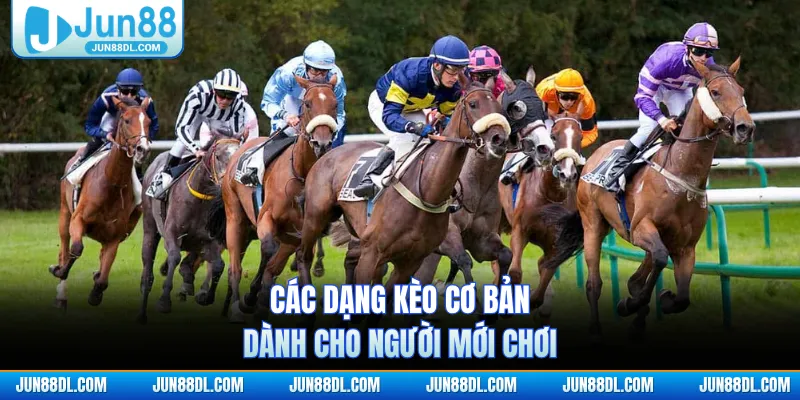 Các dạng kèo cơ bản dành cho người mới chơi